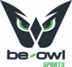 cropped logo be owl sport.png
